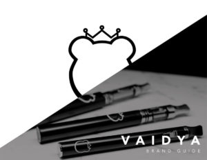 Vaidya Branding by Stellen Design Branding Agency in Los Angeles CA