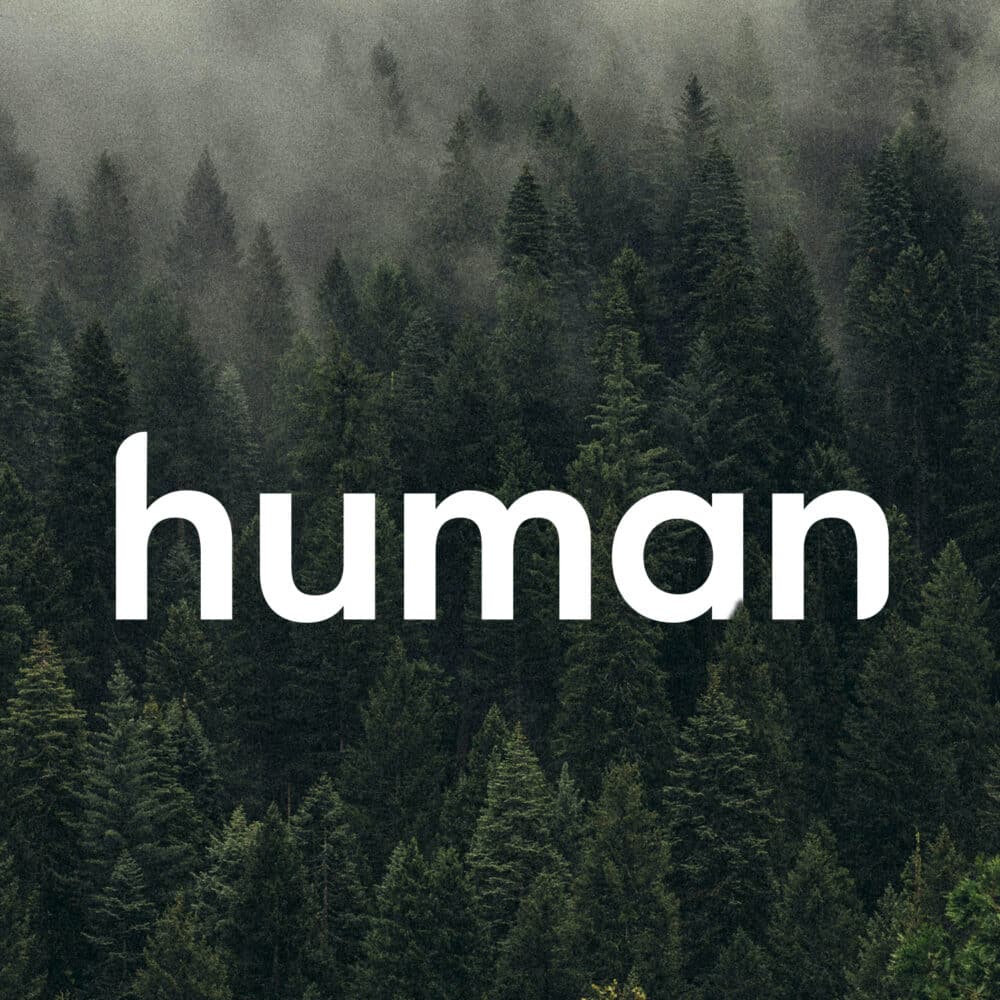 Stellen_Design_Human_Logo_Deisgn_Application_2