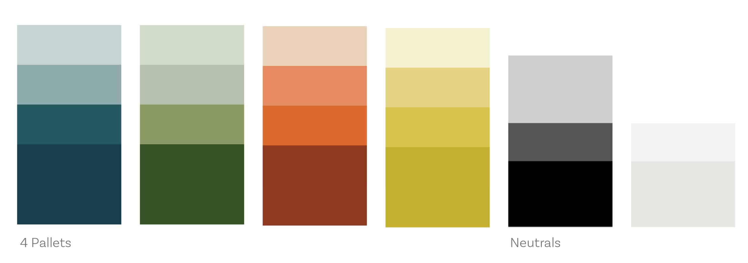 Human Branding and Color Pallet by Stellen Design Branding Agency in Los Angeles CA