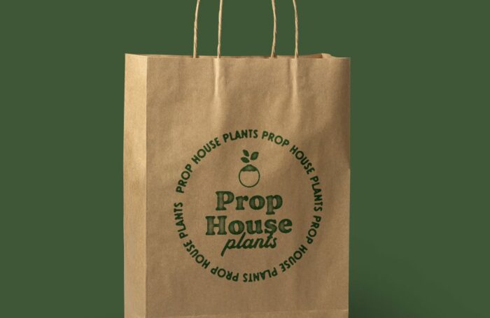 Prop_House_Bag_Mock