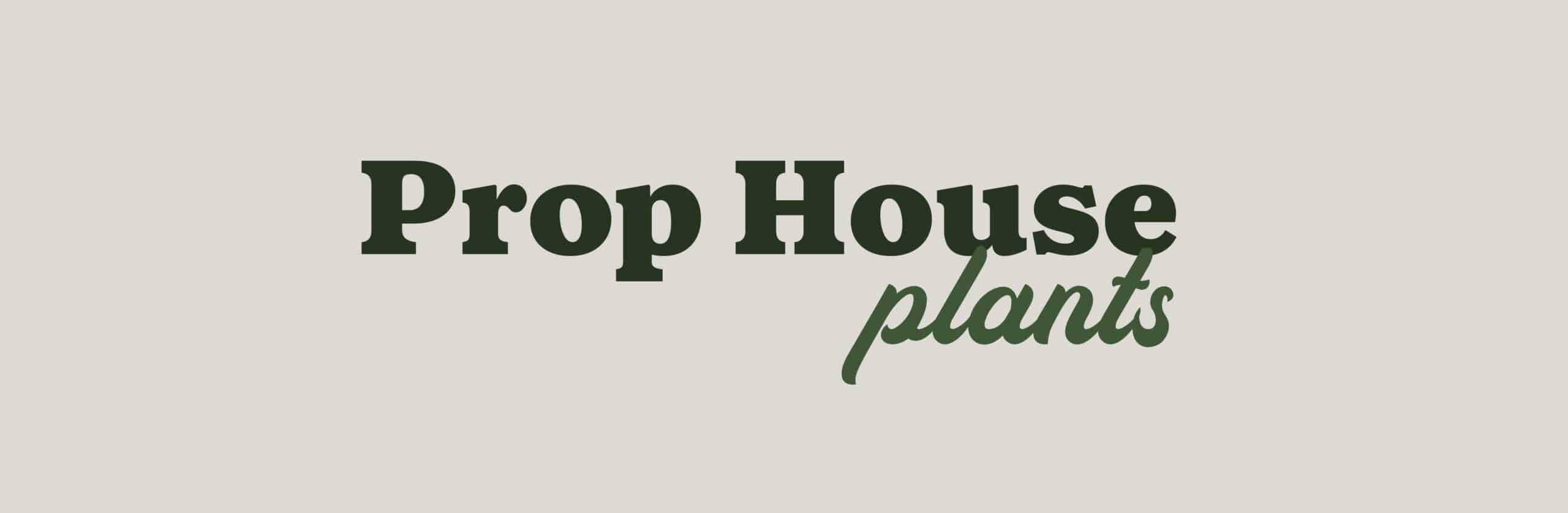 Prop House Plants Logo Design by Stellen Design Branding Agency in Los Angeles CA