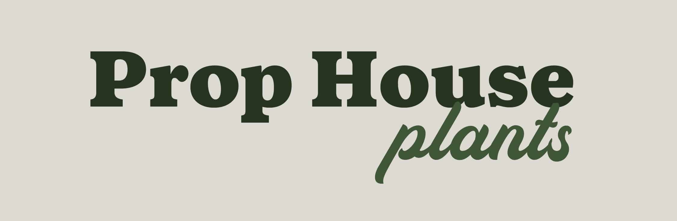 Prop_House_Branding_By_Stellen_Design_Horizontal Logo