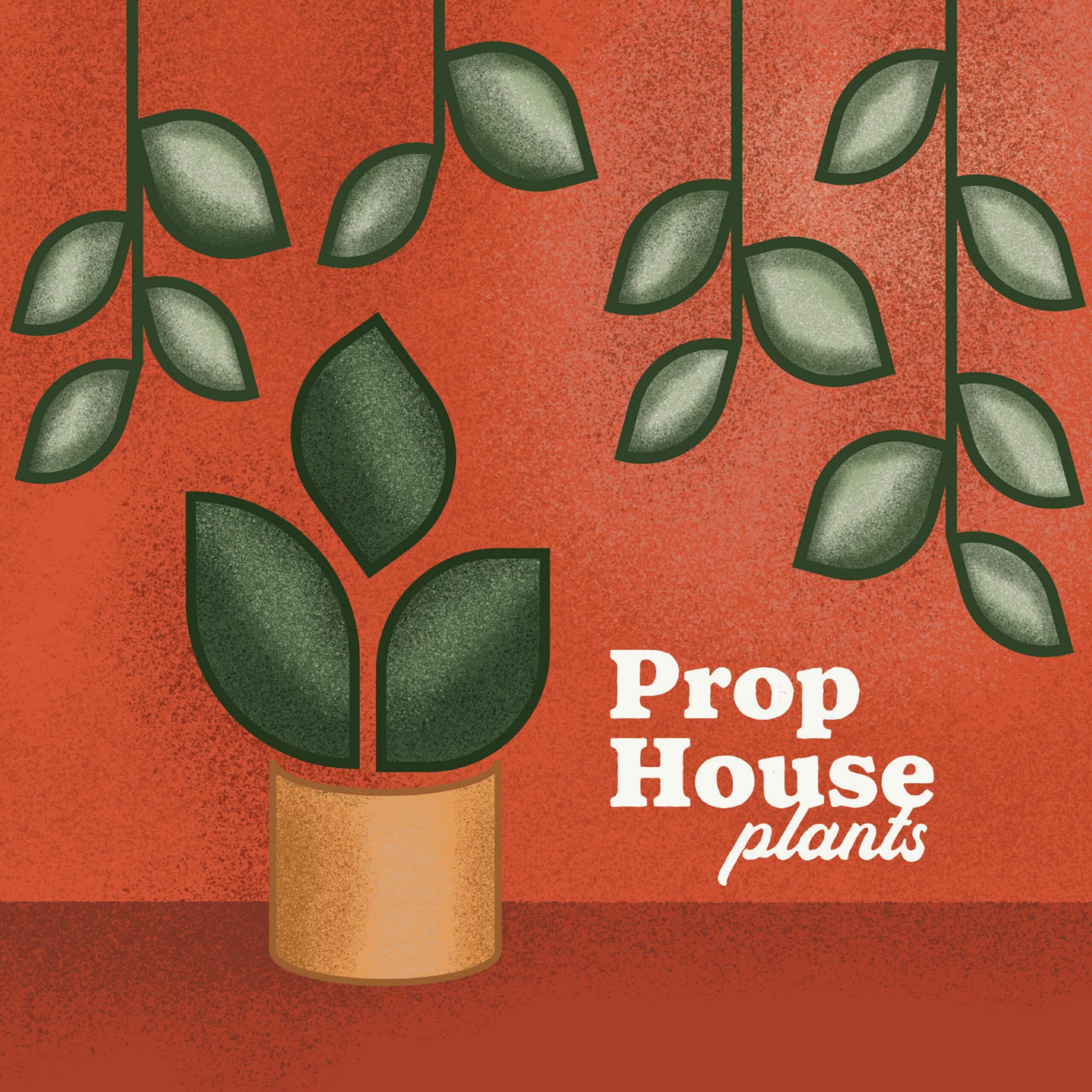 Custom Illustration for Prop House Plants in San Pedro California By Stellen Design Brand Design Agency in Los Angeles Ran by Brand Designer Jordis Small