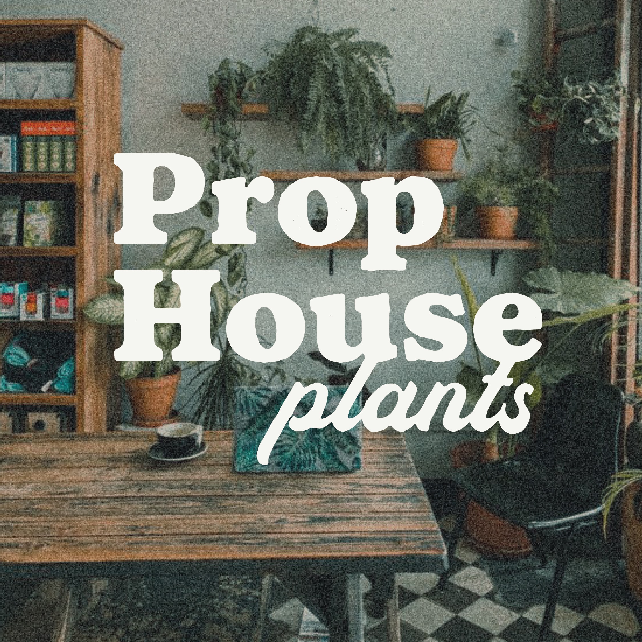 Prop House Plants Logo Design by Stellen Design Branding Agency in Los Angeles CA