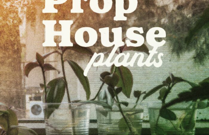 Prop_House_Branding_By_Stellen_Design_Photo treatment