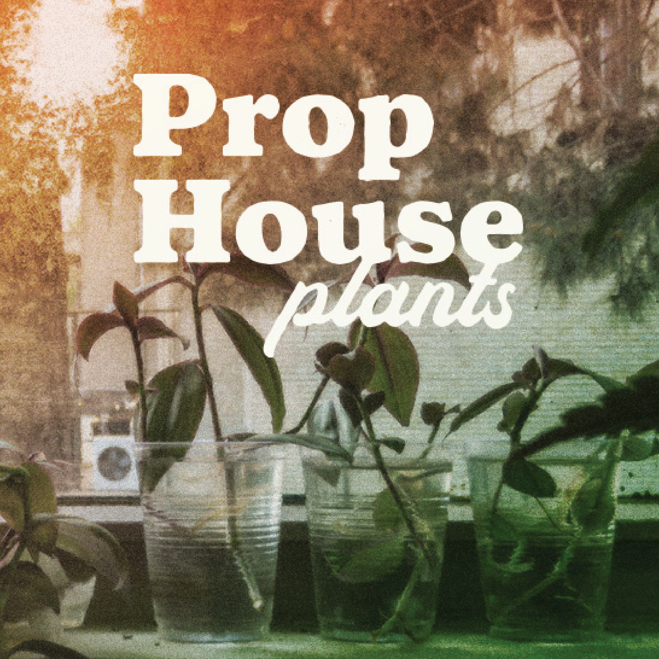 Prop_House_Branding_By_Stellen_Design_Photo treatment