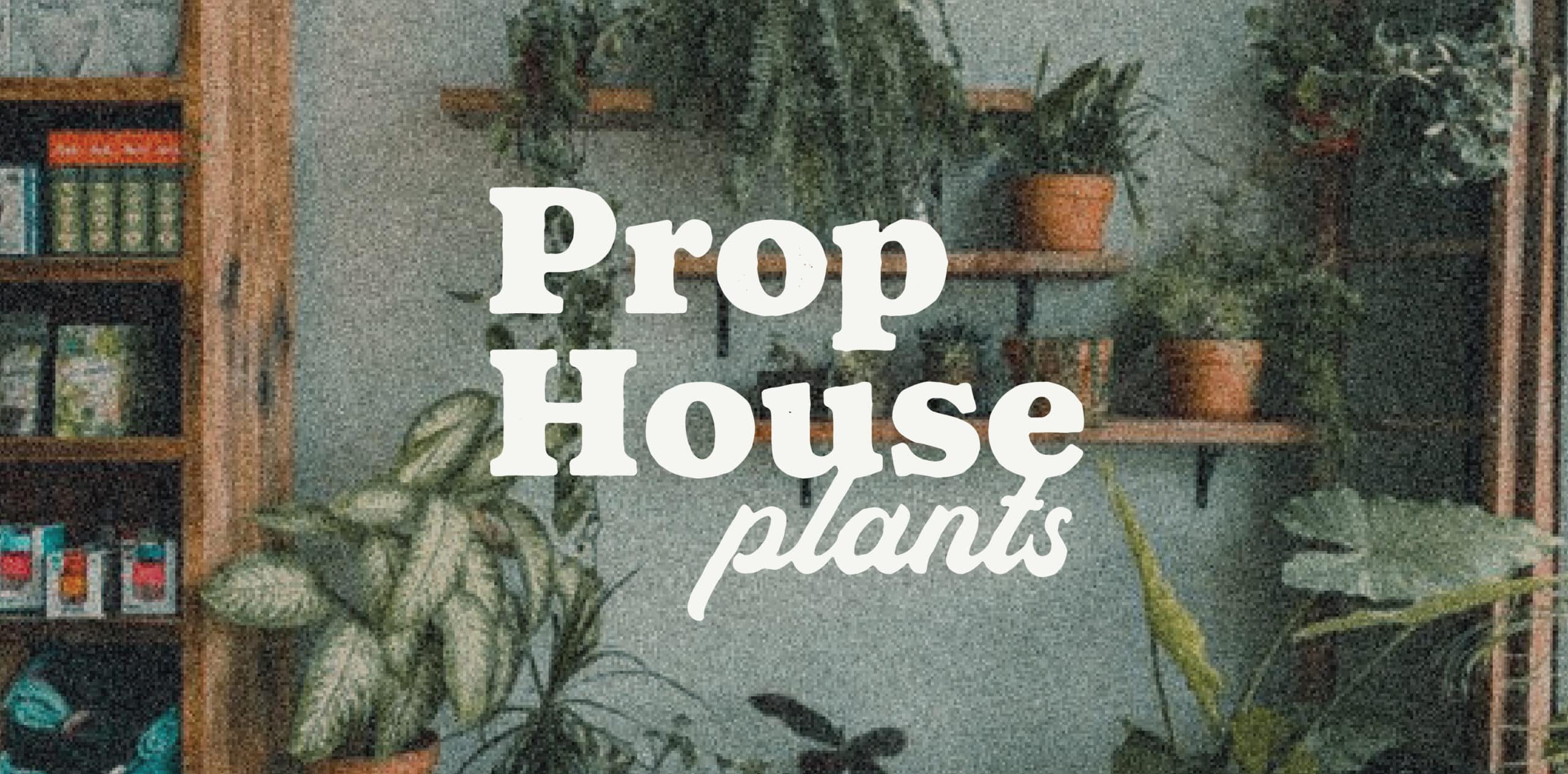 Prop House Plants in San Pedro California Logo Design by Stellen Design branding agency in Los Angeles specializing in plant logos