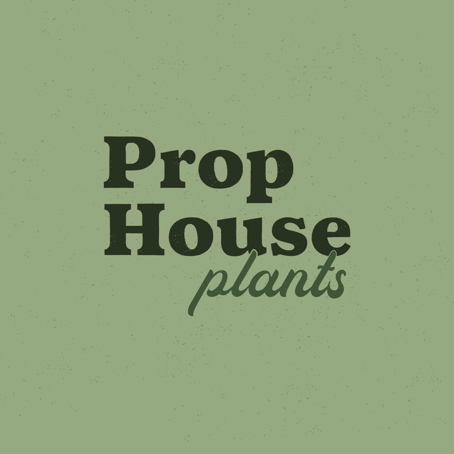 Prop House Plants Logo Design by Stellen Design Branding Agency in Los Angeles CA