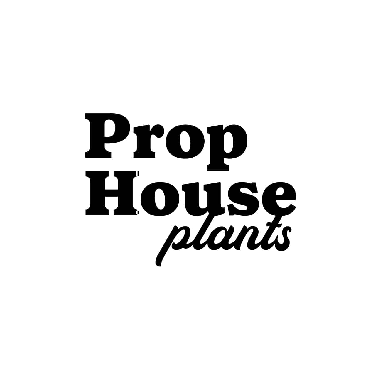 Prop House Plants Logo Design by Stellen Design Branding Agency in Los Angeles CA