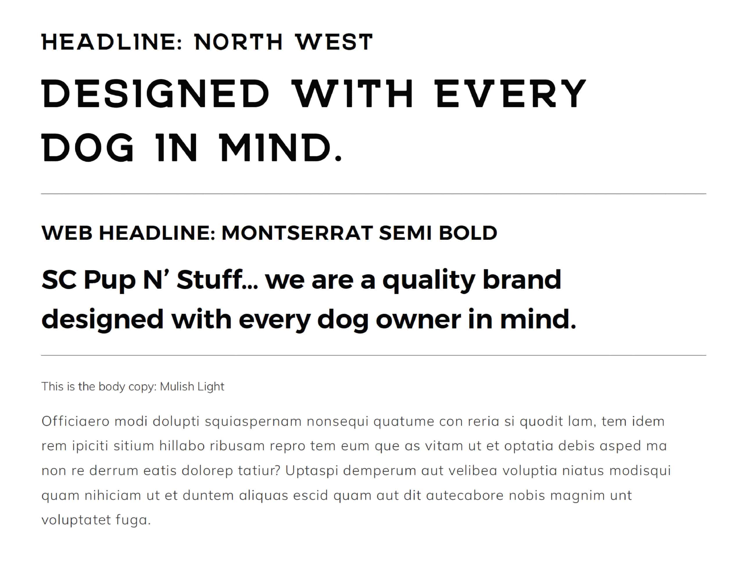 Fonts for SC Pup N' Stuff by Stellen Design branding agency in Los Angeles California Specializing in Brand Design