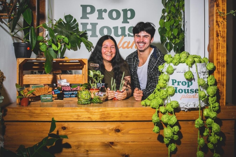 Prop House Plants in Blog "Smart Entrepreneurs Know Brand Matters: Speeding Up Success" By Stellen Design Brand Agency